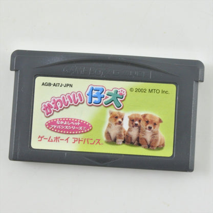 epi