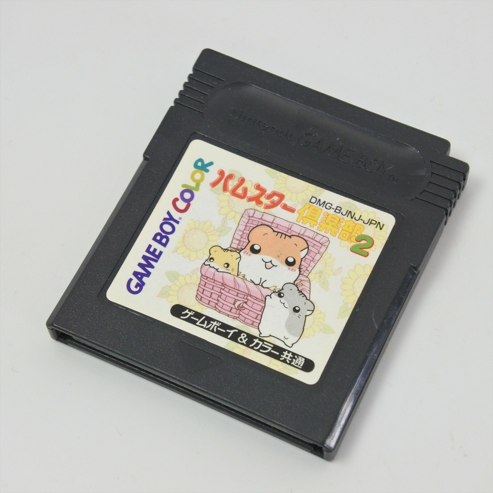 epi